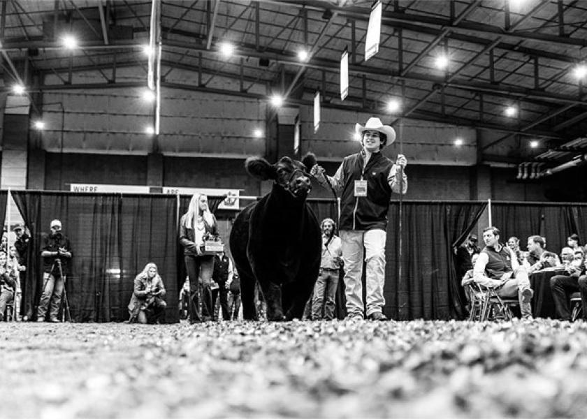 American Royal s 18 day Livestock Show Comes to a Close Drovers